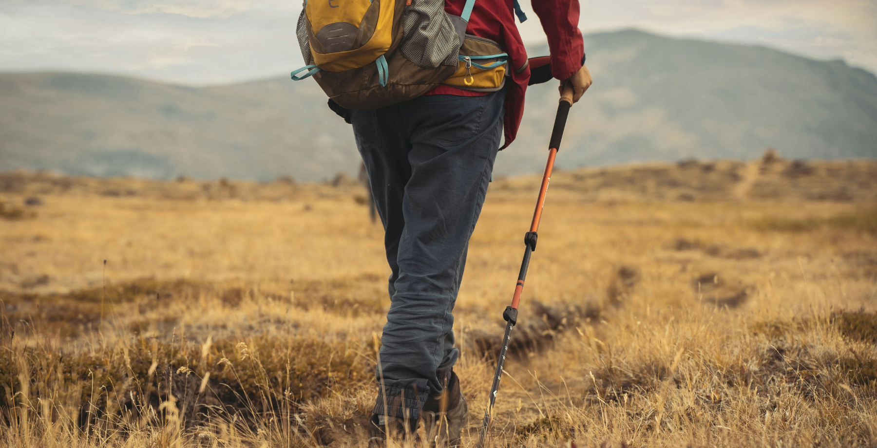 Travel hiking tip: use a trekking pole