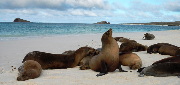Galapagos family vacation