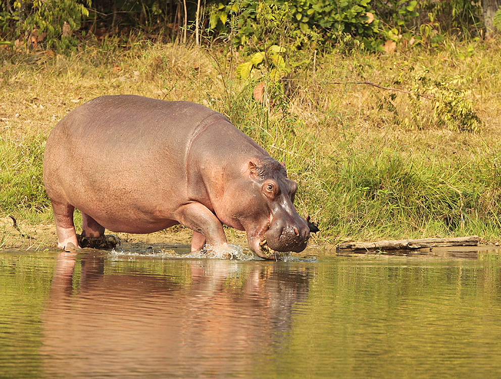 Colombia: Exploring Hidden Treasures - Elevate Destinations