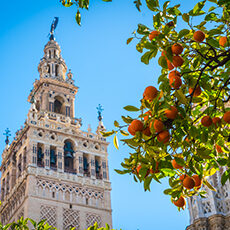 Spain: A stone bell tower with ornate details rises behind orange trees laden with fruit under a clear blue sky.