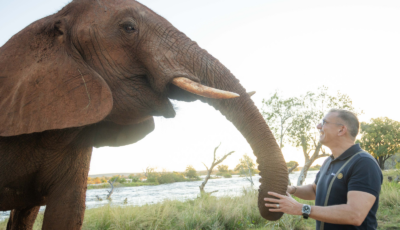 Man connecting with an elephant at a sanctuary