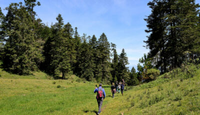 group trekking through a field with backpacks and trekking poles while participating in a charity challenge fundraising trip