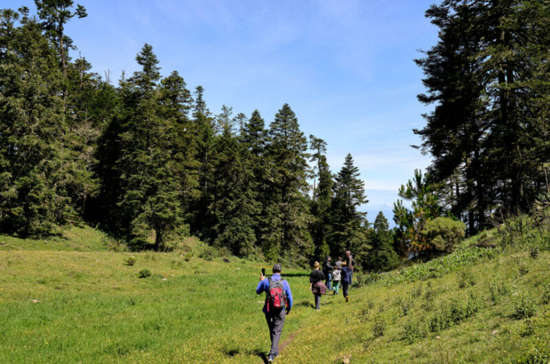 group trekking through a field with backpacks and trekking poles while participating in a charity challenge fundraising trip