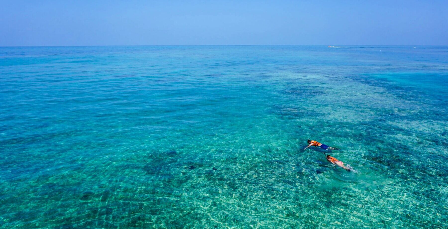 people snorkeling in clear water