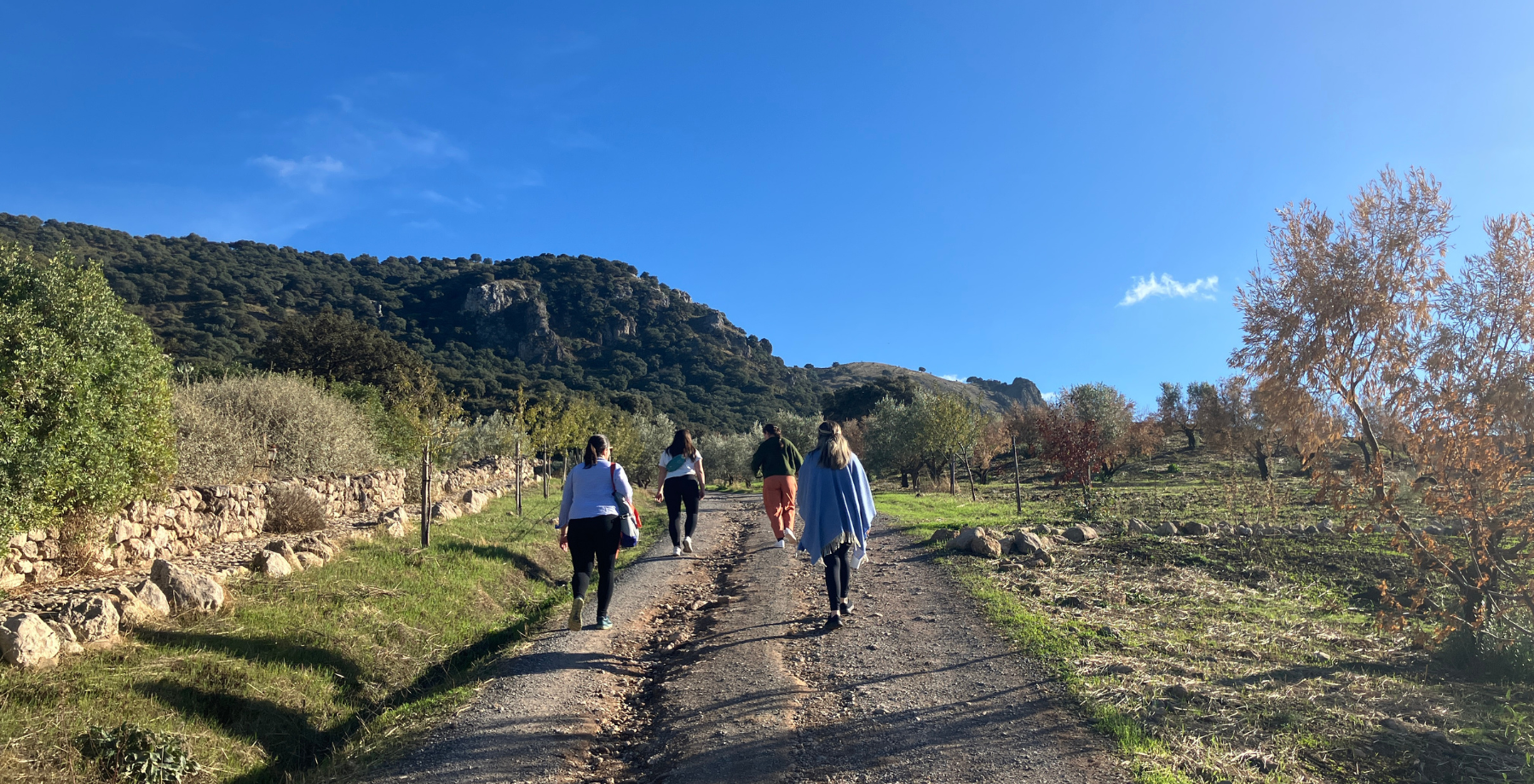 team members walking in a mountainous landscape with a dirt road during a nature based company retreat