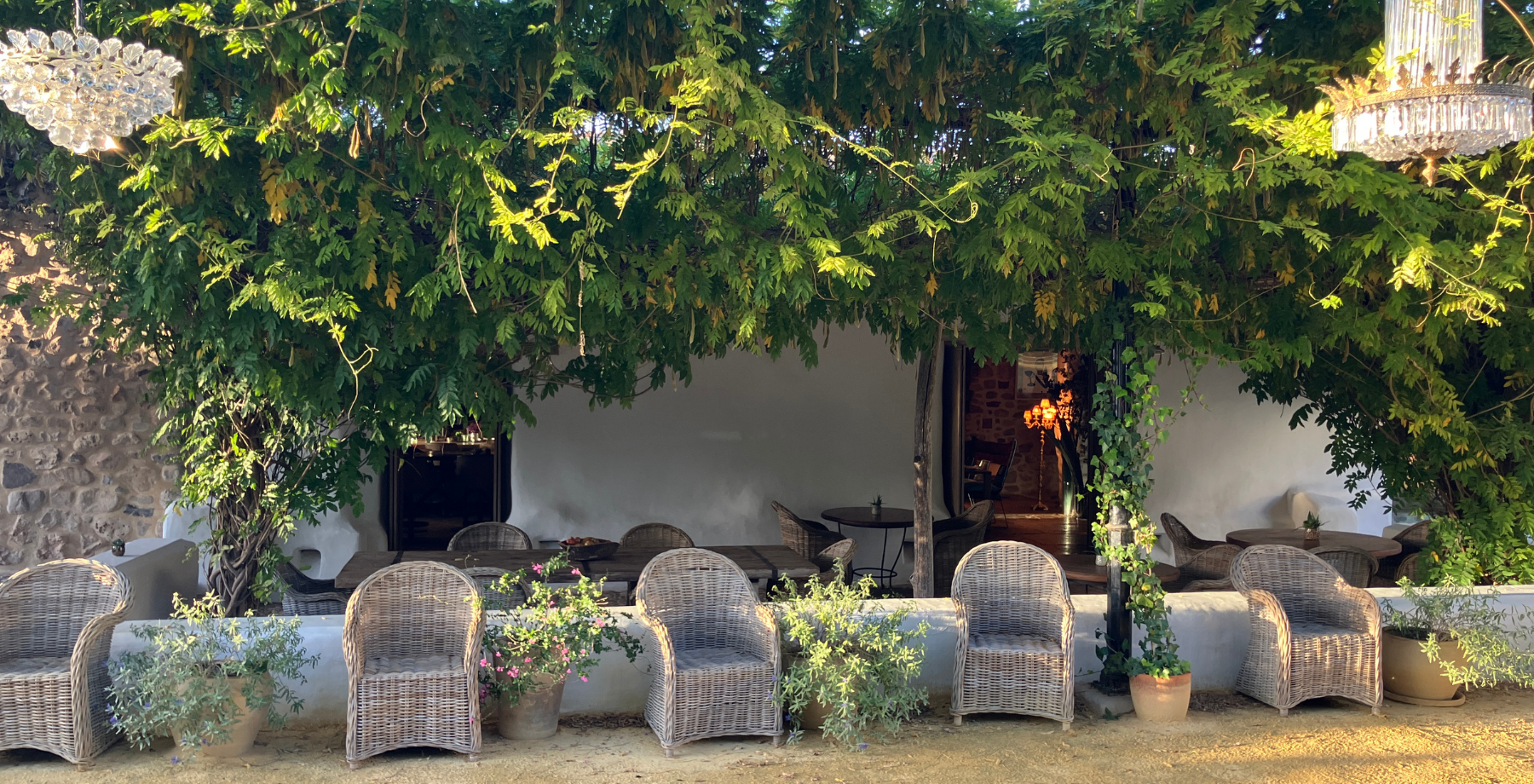 chairs gathered in front of a rustic building with a tree hanging overhead for a nature based company retreat