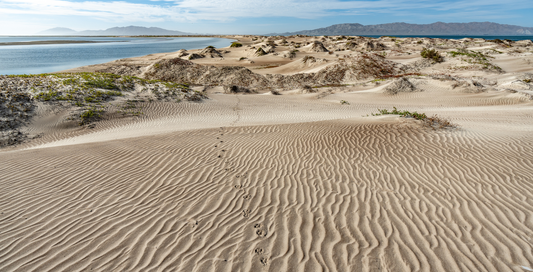 sandy beach with dune formations and beach in the background